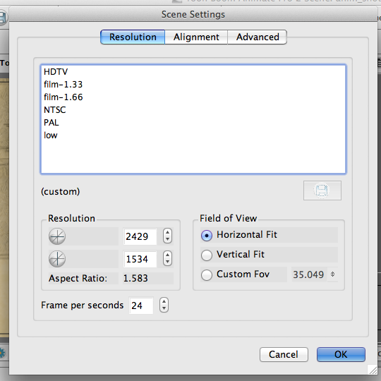 Toon Boom Animate Pro document/canvas settings
